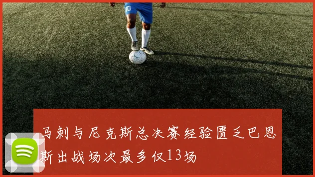 马刺与尼克斯总决赛经验匮乏巴恩斯出战场次最多仅13场