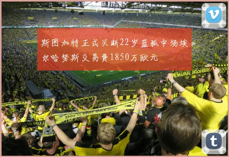 斯图加特正式买断22岁蓝狐中场埃尔哈努斯交易费1850万欧元