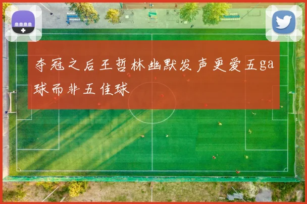 夺冠之后王哲林幽默发声更爱五ga球而非五佳球