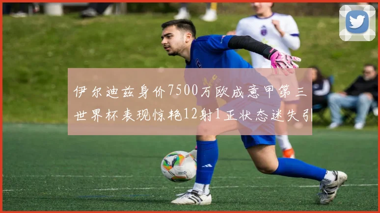 伊尔迪兹身价7500万欧成意甲第三世界杯表现惊艳12射1正状态迷失引发关注