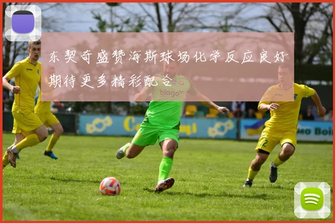 东契奇盛赞海斯球场化学反应良好期待更多精彩配合